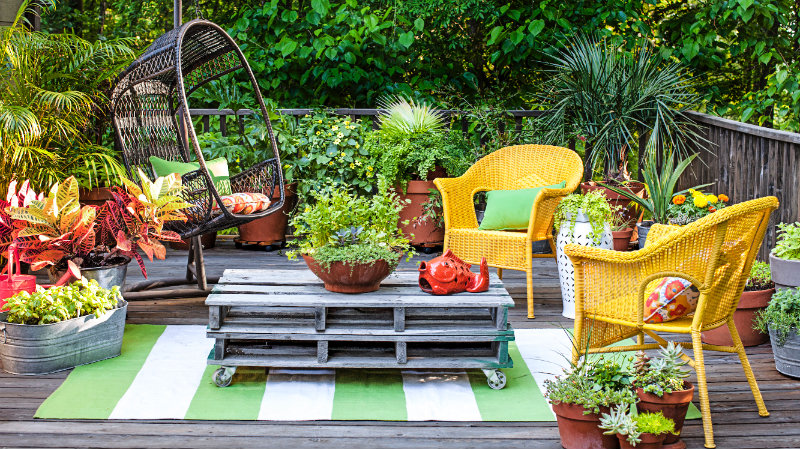 plants on patio
